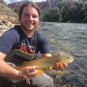 Meet your Posher, Eric